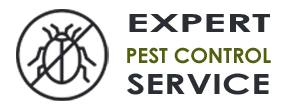 Emergency Exterminator Company Boca Raton FL